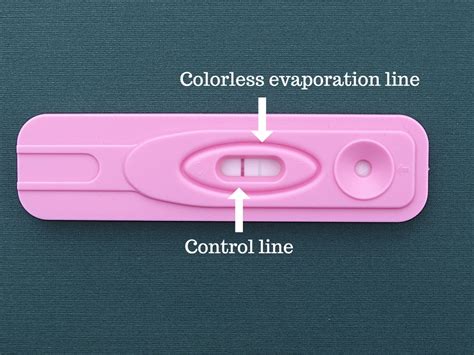 pregnancy test line color meaning